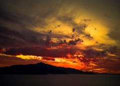 Foto 4 Elba Foto 4 Elba